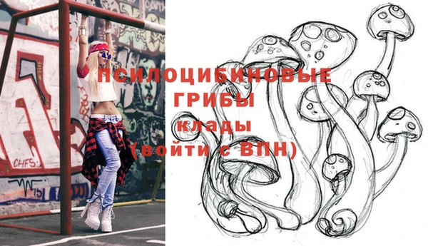 дмт Снежногорск