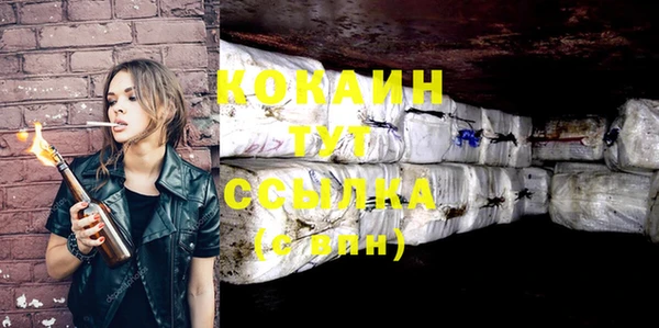 дмт Снежногорск