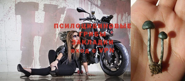 ешки Слюдянка